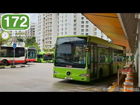 [SMRT] Lifespan extended, Mercedes-Benz OC500LE Batch 1 on Service 172 | SMB19H