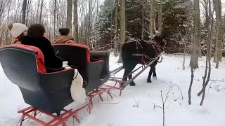 A Horse Drawn Sleigh Ride &amp; Christmas Carols with my Daughters!!! ❄️🎄❄️🎄❄️