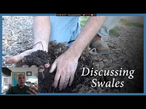 Capturing Rainwater with Swales and Soil Carbon