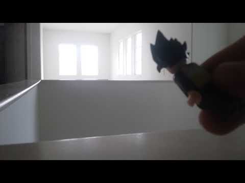 Prince vegeta judges his teamates