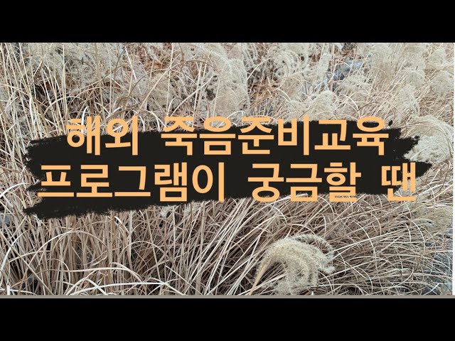 Pronúncia de vídeo de 지고 em Coreano