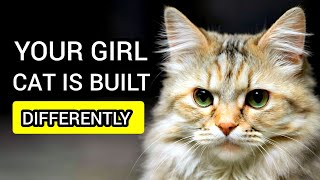Why Female Cats are NOT Like Males: 10 Things You Must Know