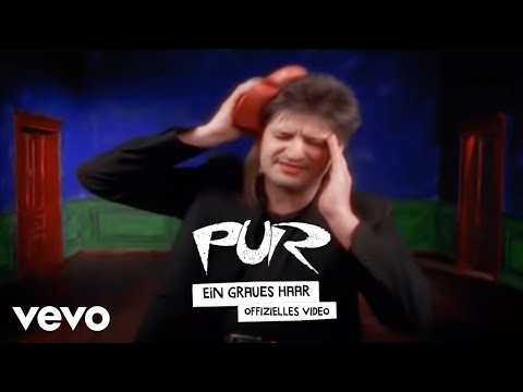 Ein graues Haar - Pur