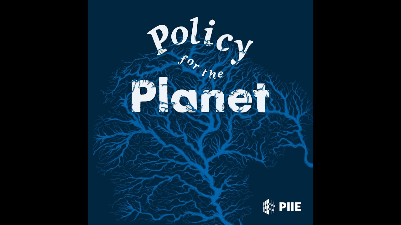 The geopolitics behind critical minerals (Episode 25)