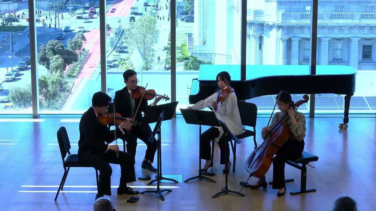 Promotional video thumbnail 2 for Violinist, Aleksi Z
