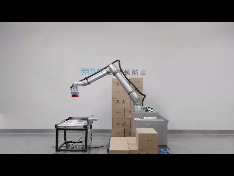 Estun Codroid - Lifting Palletizing Solution
