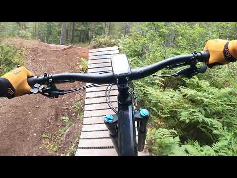 Drammen Bike Park- Redwood 2021
