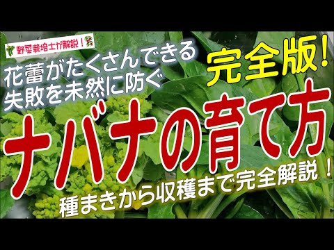 種まきのための10のヒント トピックス