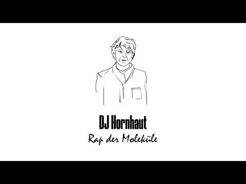 DJ Hornhaut - Rap der Moleküle