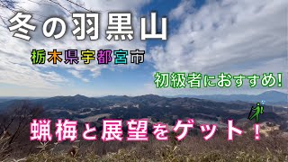 羽黒山　冬の羽黒山ハイク！ロウバイの花と絶景を満喫する低山登山！栃木県宇都宮市【山と音楽　m♪し音】
