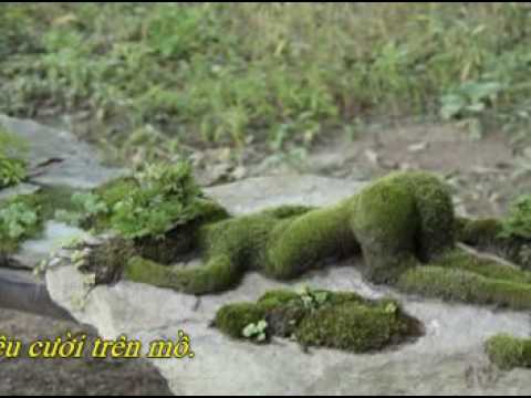 Trên nhánh rong tình - Tuấn Ngọc