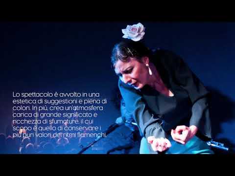Soncai flamenco - Promo video 2018 ITA