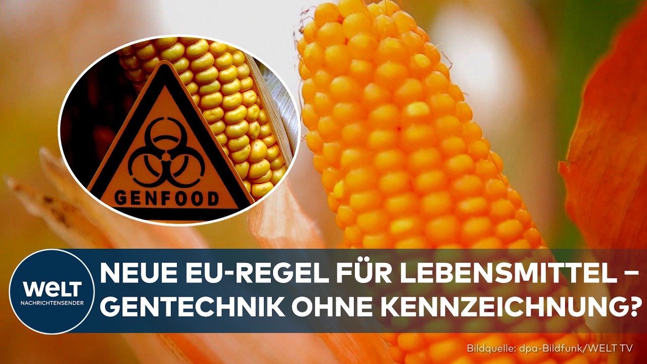 EU-BESCHLUSS: Das ändert sich 2028 – Lebensmittel aus Gentechnik ohne Kennzeichnung im Regal