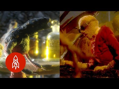 Do the Monster Mash to These Four Stories