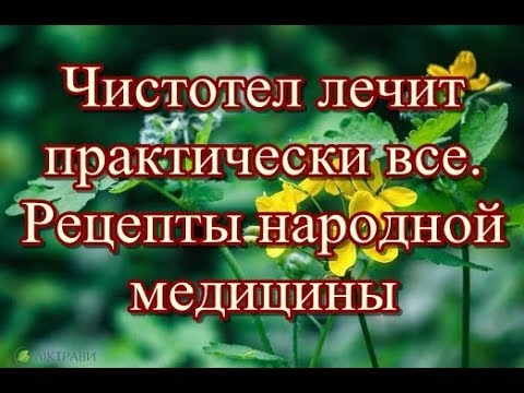 Отбеливающие грибы лицо Пигментация темные пятна отбеливающие крема
