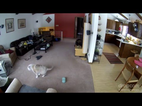 Taan scratches her back