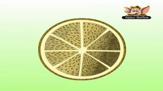 Fruits 2