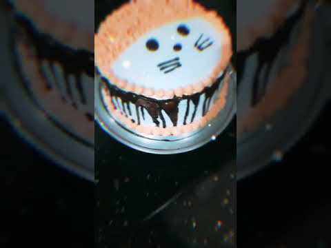 😋Kitty Cake (model)