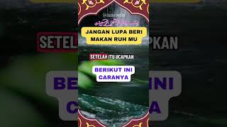 Jangan lupa beri makan ruh mu #doa #amalan #dzikir #fyp #trustonallah