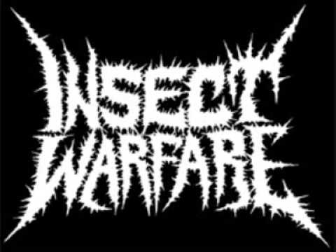 Insect Warfare - Death to false Grind