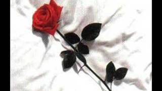 Sylvain Cossette ( Si Dieu existe )