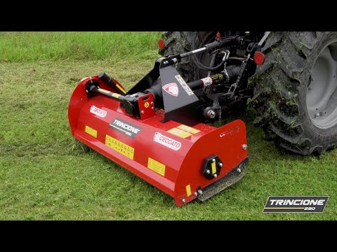 TRINCIONE 290 CON ROTORE ELICOIDALE - CECCATO OLINDO
