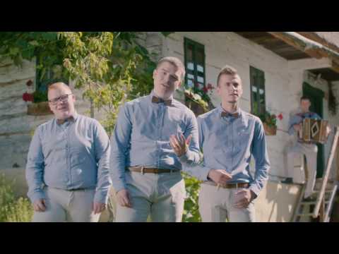 NAPOVEDNIK ANSAMBEL PIK- ZATE MAMI