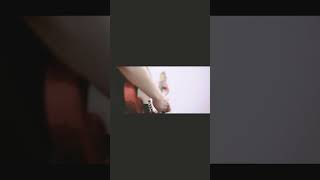 【#負け犬にアンコールはいらない】【#ヨルシカ】【#shorts】【#盗作】 プロフよりYouTube fullへ飛べます！  #ヨルシカ  #初音ミク #anime  #盗作再演  #キタニタツヤ