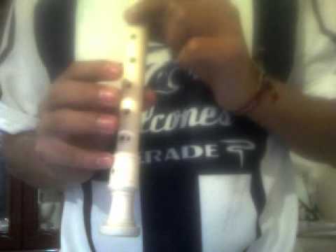 Notas para flauta (ES): Sueño imposible (Paloma San Basilio), notas para flauta