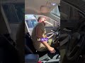 Llevar A Tu Perro En Coche