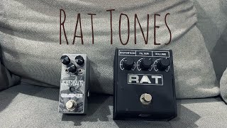 Video thumbnail for ProCo Rat VS. Wampler Ratsbane by Rocky Folksy
