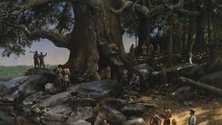 Hollow Giants: Appalachian Settlers and the American Sycamore