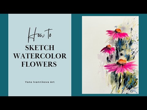 How to sketch watercolor flowers, loose echinacea