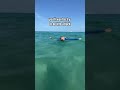 WHAT TO DO IF YOU ARE EVER DROWNING IN THE OCEAN