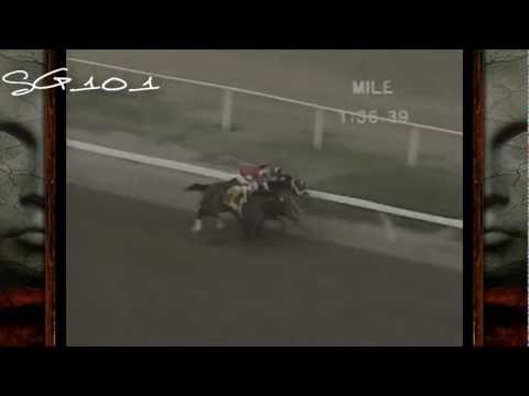 { A.P. Indy - How great I am //