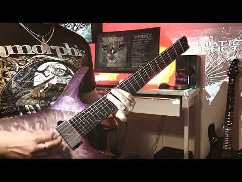 Enigmatic Entrance - Beyond This Flesh (guitar playthrough)