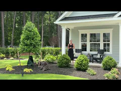 Video of Albemarle Villas Community