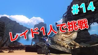 【ダークアベンジャークロス】#14  レイドに1人で挑戦！