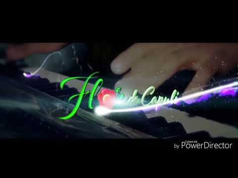 Virgen De Santa Ana - Flor De Capuli Huaylia
