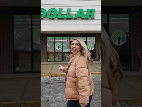 Dollar Tree encontra #dollartree