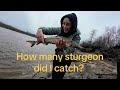 Video Thumbnail for North Saskatchewan River fishing ? - how many sturgeons did I catch?? 