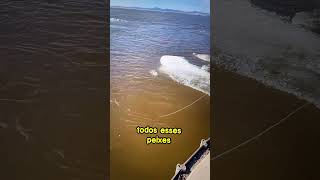 COMO PESCAR EM SEGUNDOS #curiosoushorts