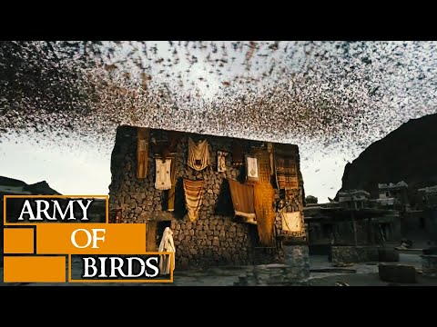 When Birds Defend KAABA (House of GOD) || Story of Ababil Birds and The Elephant