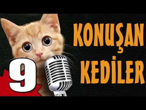 Konuşan Kediler 9 - En Komik Kedi Videoları!  [ALTYAZILI]