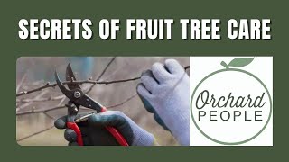 Three Secrets of Young Fruit Tree Care | Orchard People