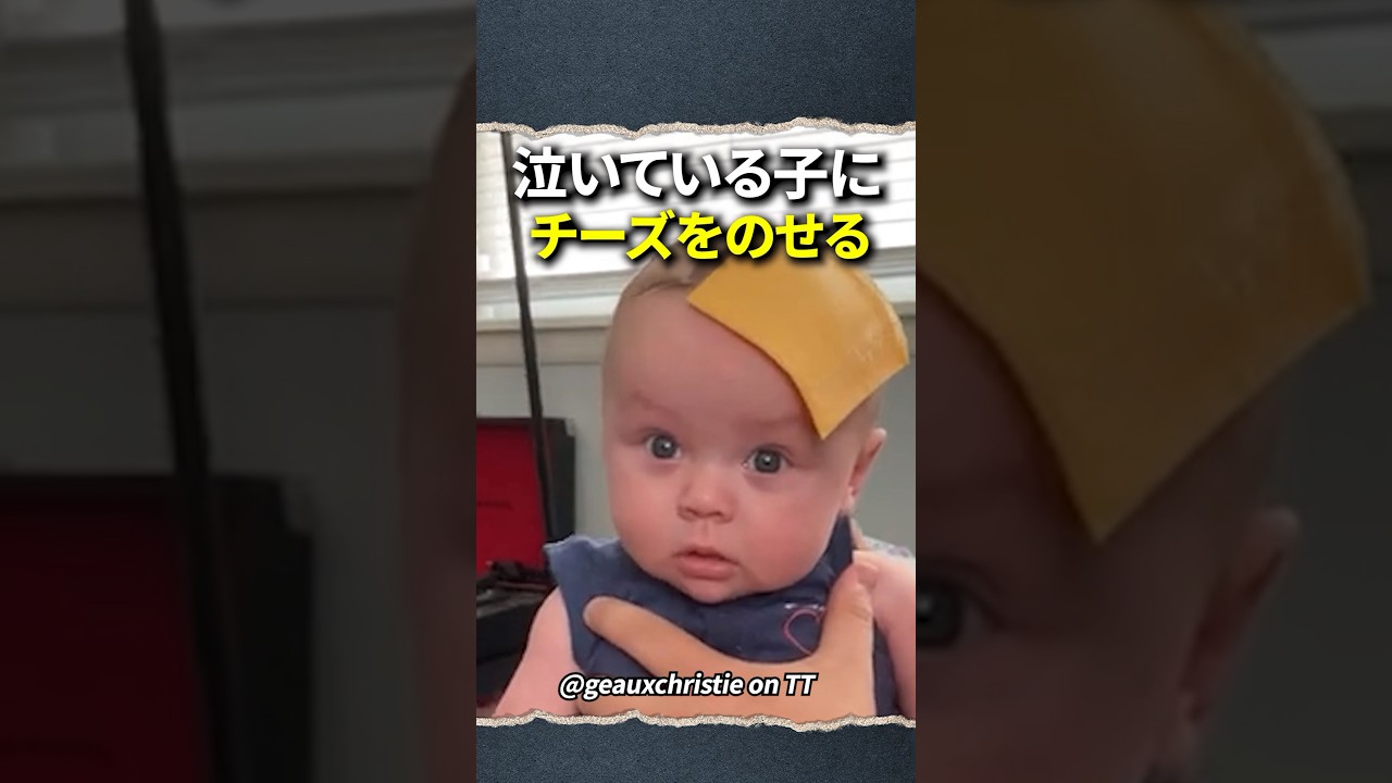上にチーズをのせると泣き止む子