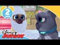 Valpvänner Tvättmaskinen Spårar Ur Disney Junior Sverige