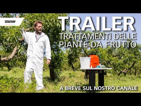 Come cè un aglio contro vermi Come rivelare parassiti al bambino di un anno