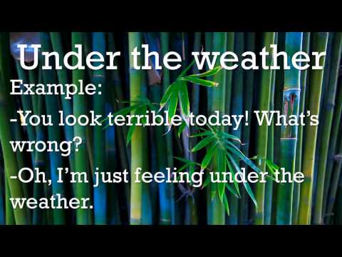 每日一句學英文- Under the weather