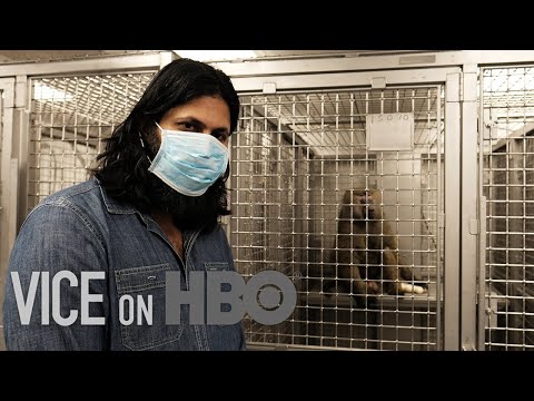 The Life Of A Professional Lab Rat